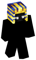 Skinfile