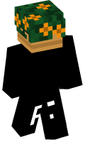 Skinfile