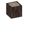 Skinfile