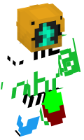 Skinfile