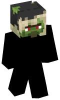 Skinfile