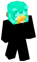 Skinfile