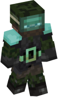 Skinfile
