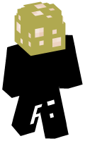 Skinfile
