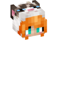 Skinfile