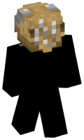 Skinfile