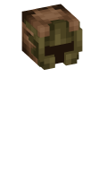 Skinfile