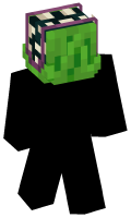 Skinfile