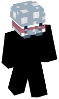 Skinfile
