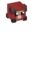 Skinfile
