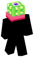 Skinfile