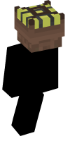 Skinfile
