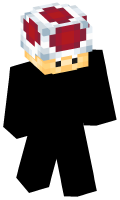 Skinfile