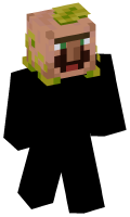 Skinfile