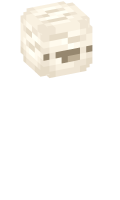 Skinfile
