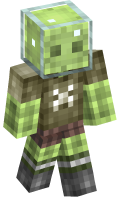 Skinfile