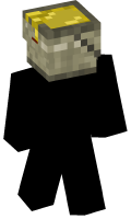Skinfile