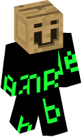 Skinfile