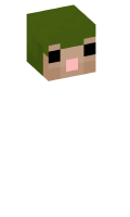 Skinfile