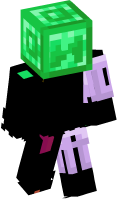 Skinfile