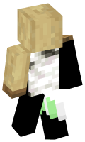 Skinfile