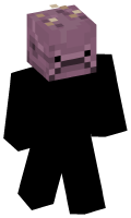 Skinfile