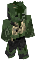 Skinfile