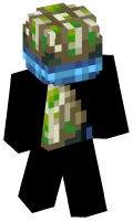 Skinfile