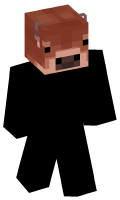 Skinfile