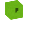 Skinfile