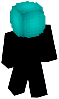 Skinfile