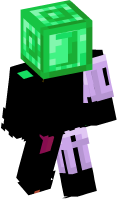 Skinfile