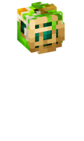 Skinfile