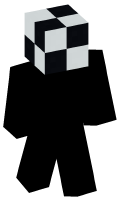 Skinfile
