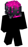 Skinfile