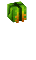 Skinfile