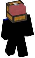Skinfile