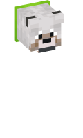 Skinfile