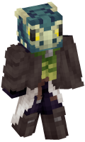 Skinfile