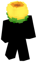 Skinfile