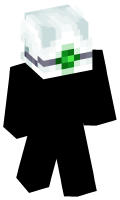 Skinfile