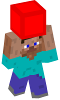 Skinfile