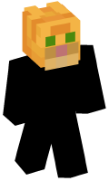 Skinfile