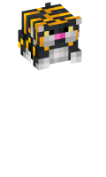 Skinfile