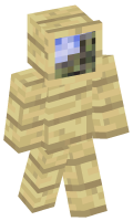 Skinfile