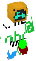 Skinfile