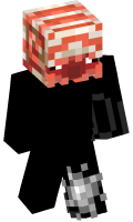 Skinfile