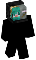 Skinfile