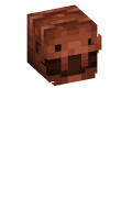Skinfile