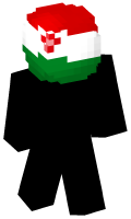 Skinfile